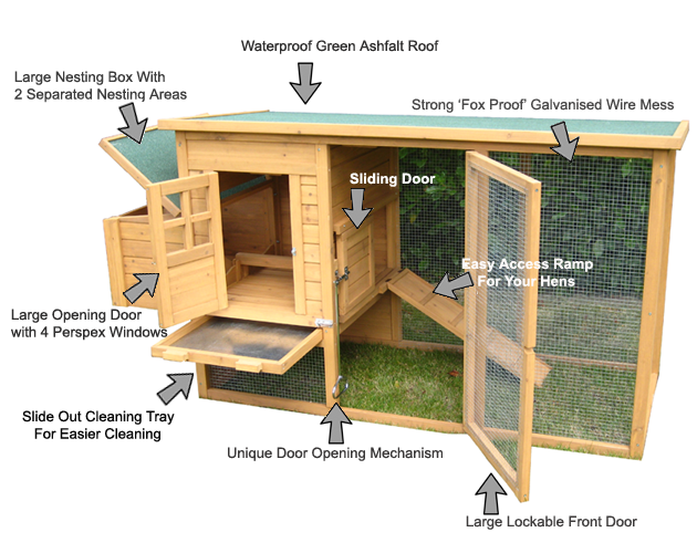 typical-chicken-coop.png -  by Scott Smith Photos