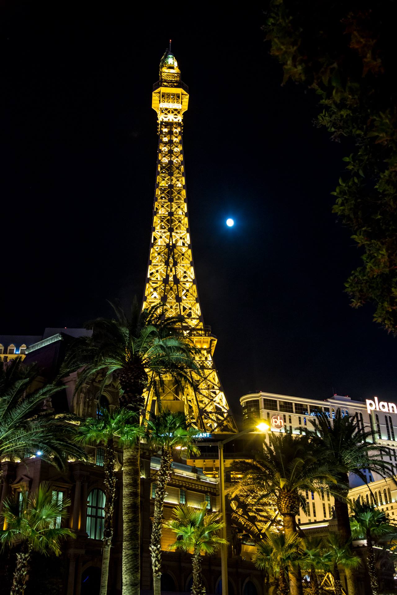 Eiffel Tower -  by Scott Smith Photos