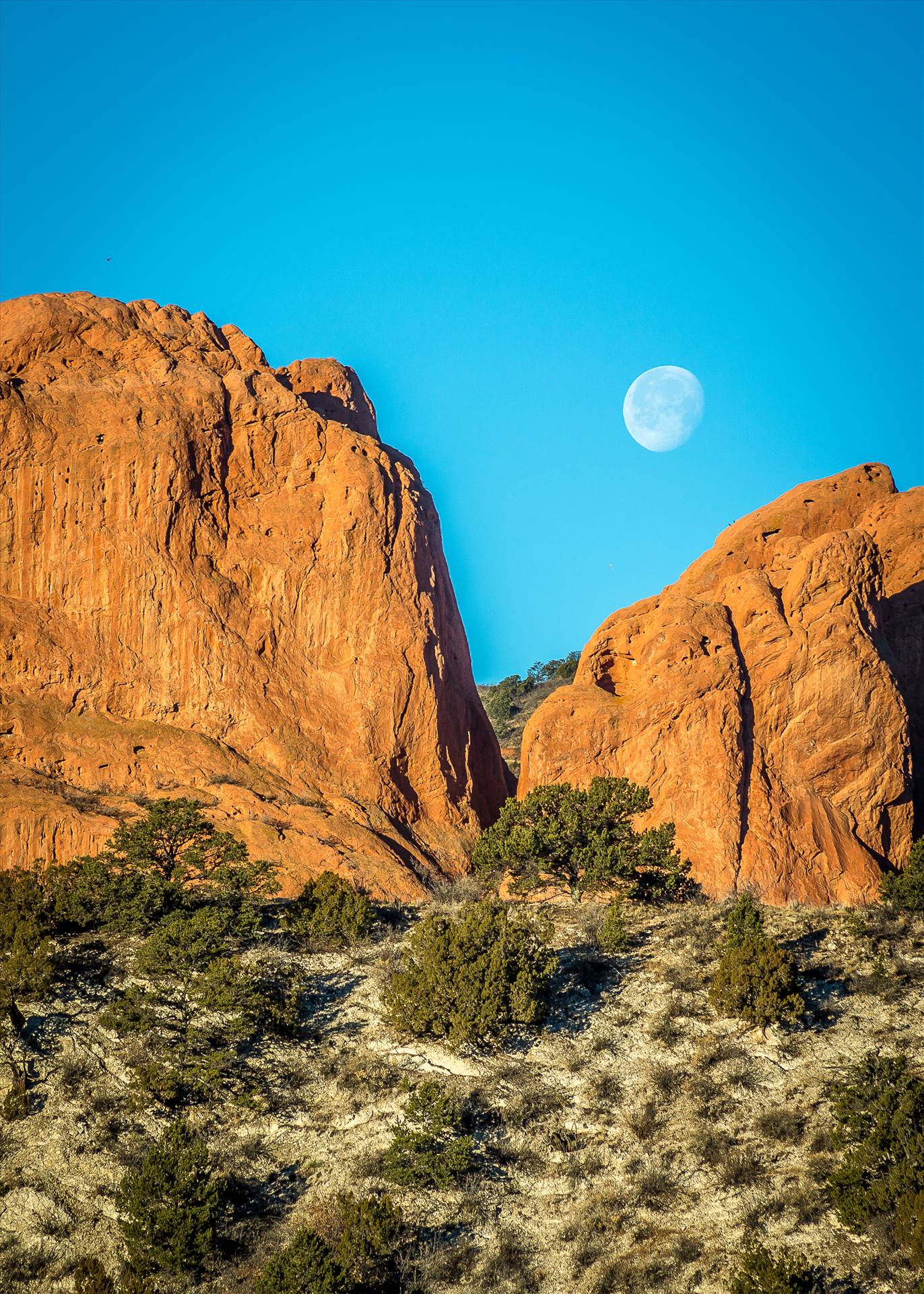 Moon Setting between the Gods - Moon setting over the Garden of the Gods. by Scott Smith Photos