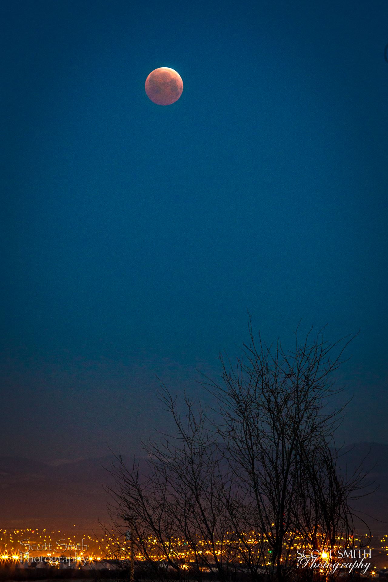 Blood Moon over Denver, Colorado - Lunar Eclipse ad blood moon, April 4 2015 from Denver, Colorado. by Scott Smith Photos