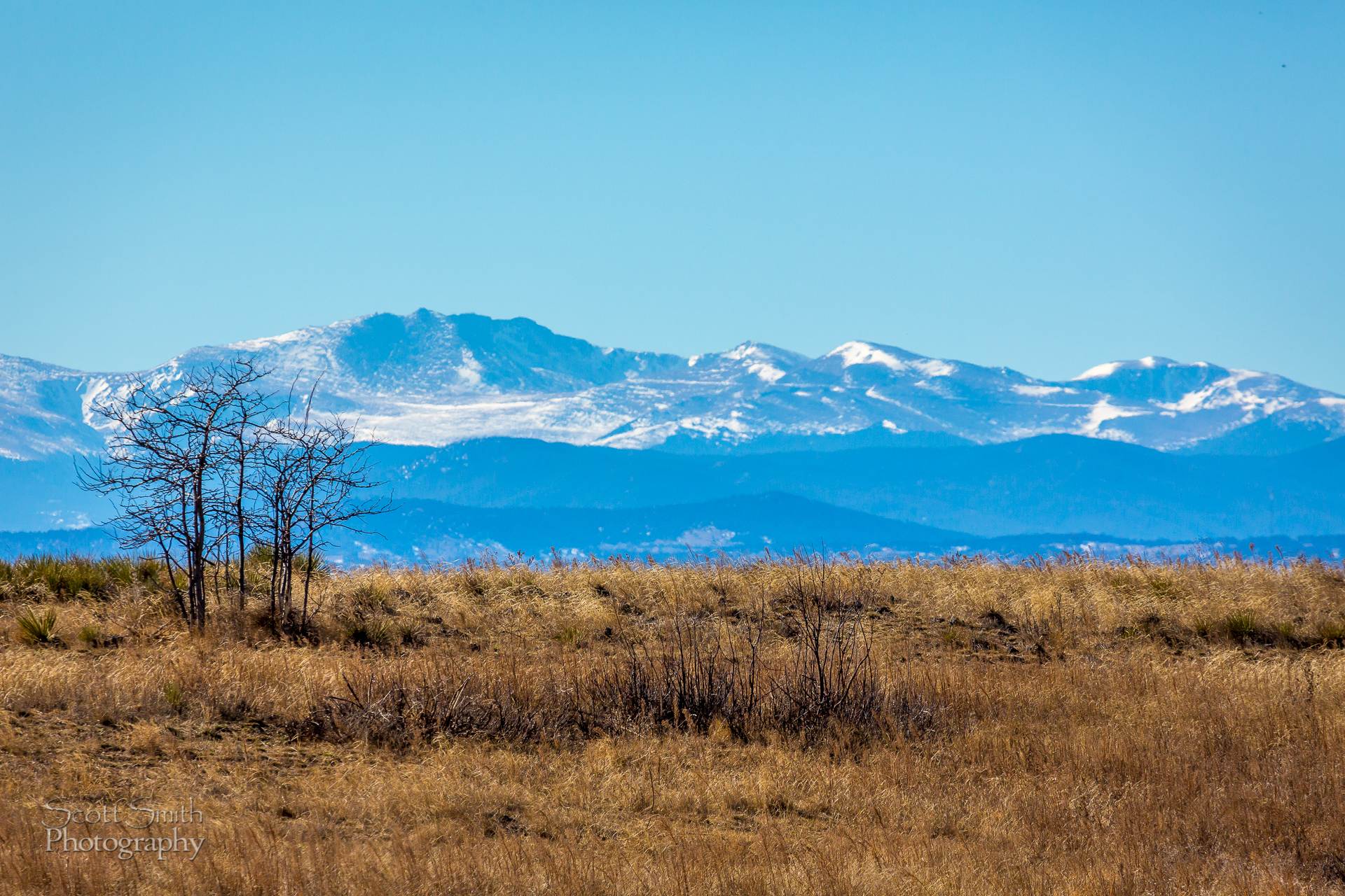 Front Range - The front range from the Rocky Mountain Arsenal Wildlife Refuge. by Scott Smith Photos