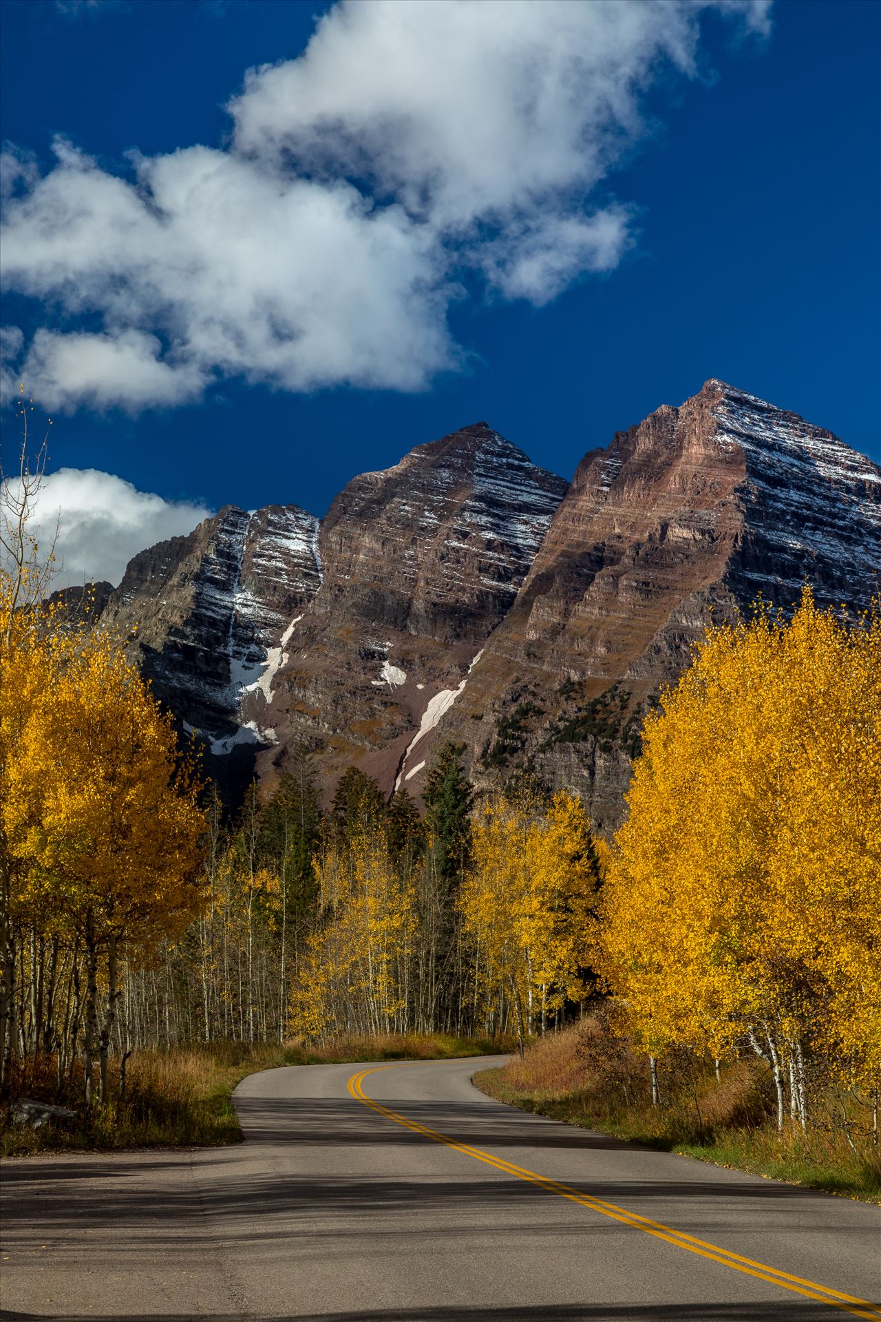 Fall in Aspen Snowmass Wilderness Area No 4 -  by Scott Smith Photos