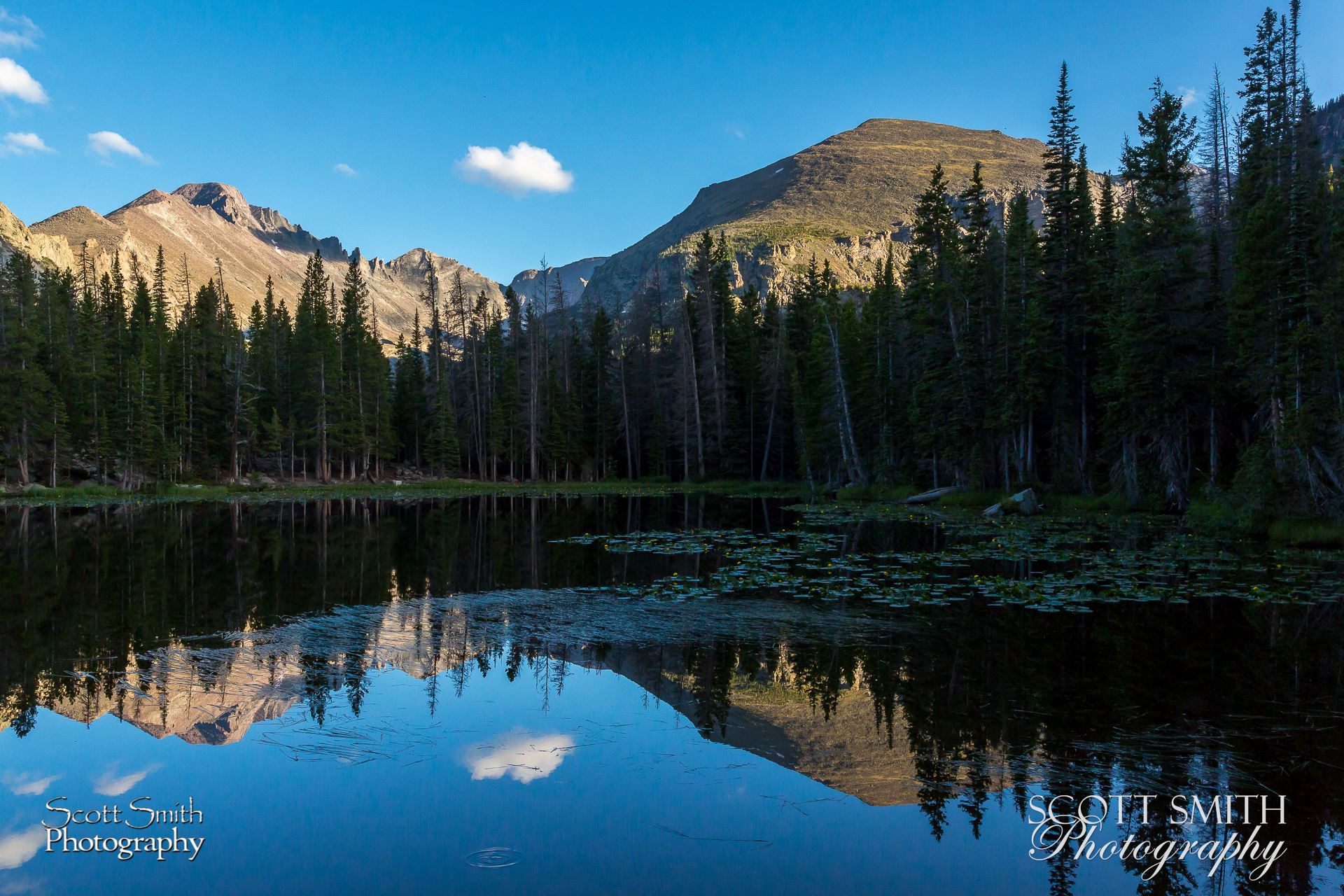 Bear Lake Trail 9 -  by Scott Smith Photos