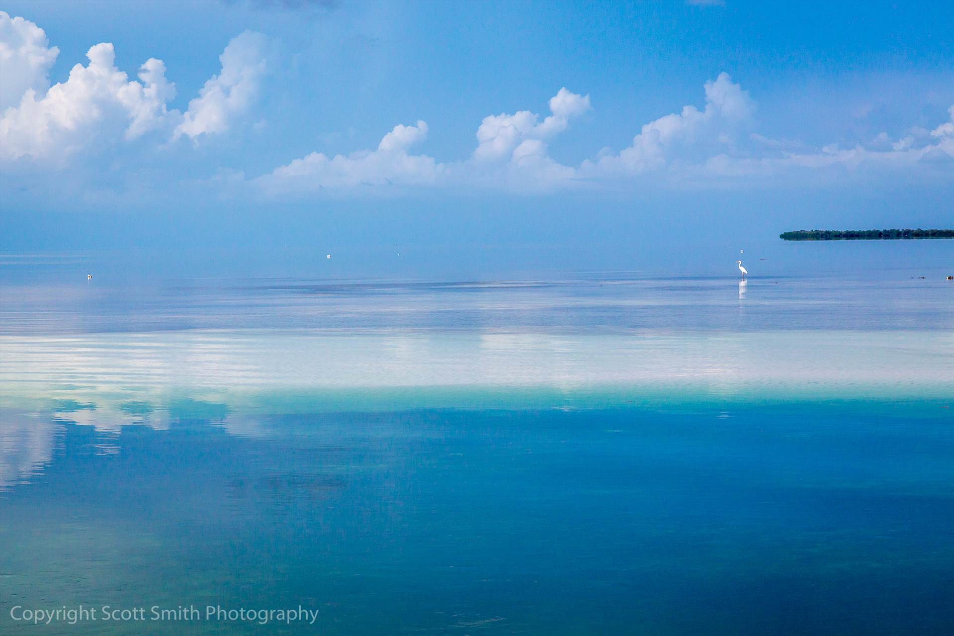 Blended Horizon - The horizon blends in with the water in this shot from a sand bar  west of Key West in the Gulf of Mexico. by Scott Smith Photos
