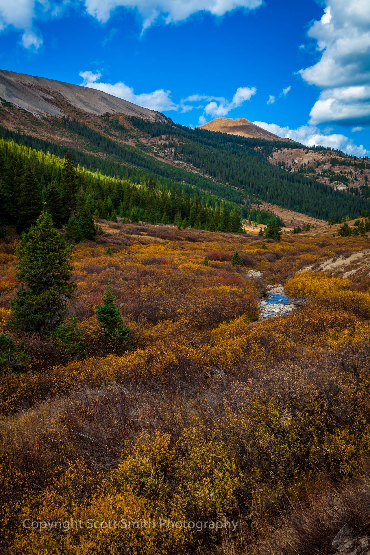 Independence Pass - The gorgeous view of the valley bordering the western half of Independence pass. by Scott Smith Photos