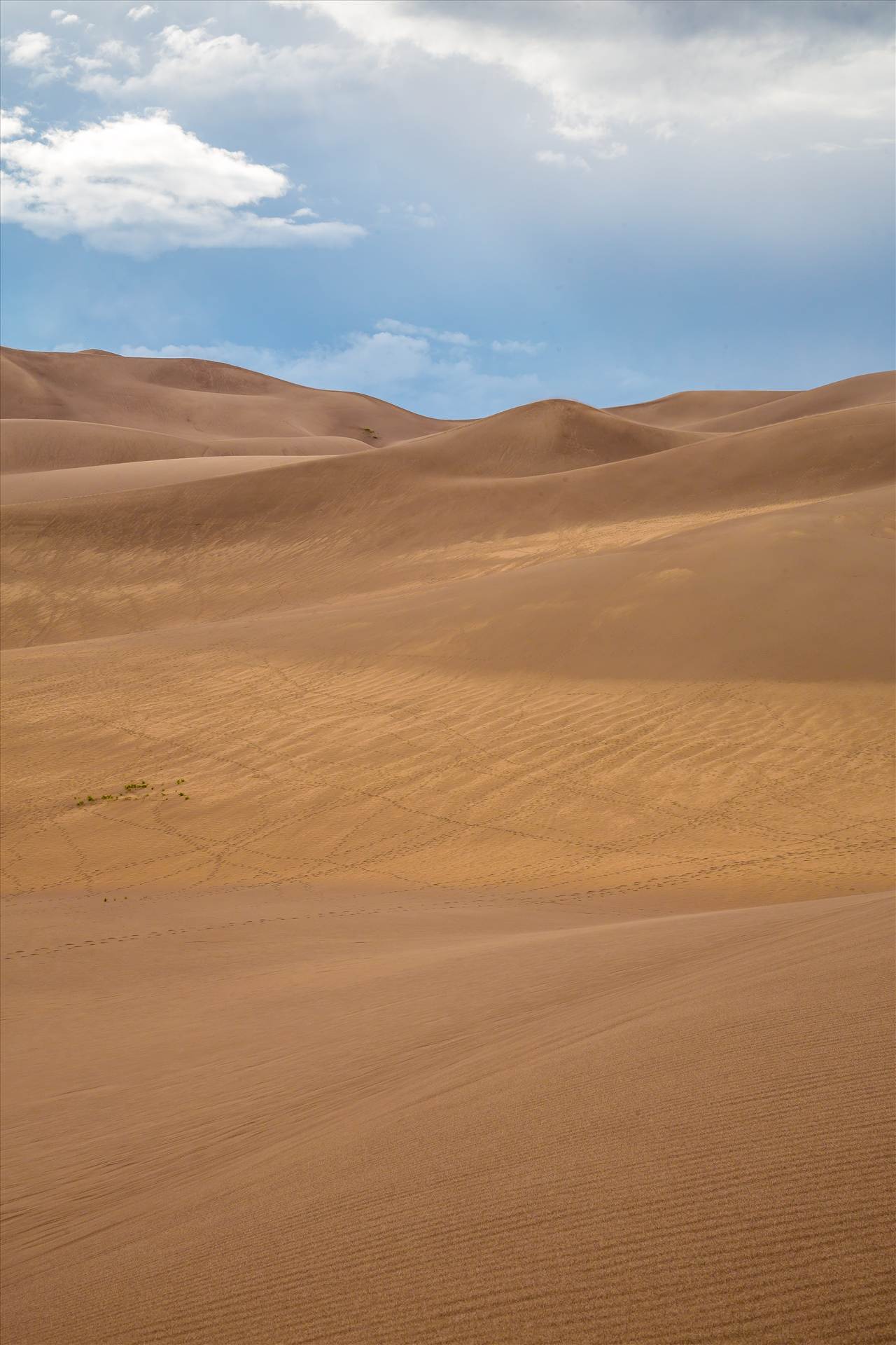 Great Sand Dunes 7 -  by Scott Smith Photos