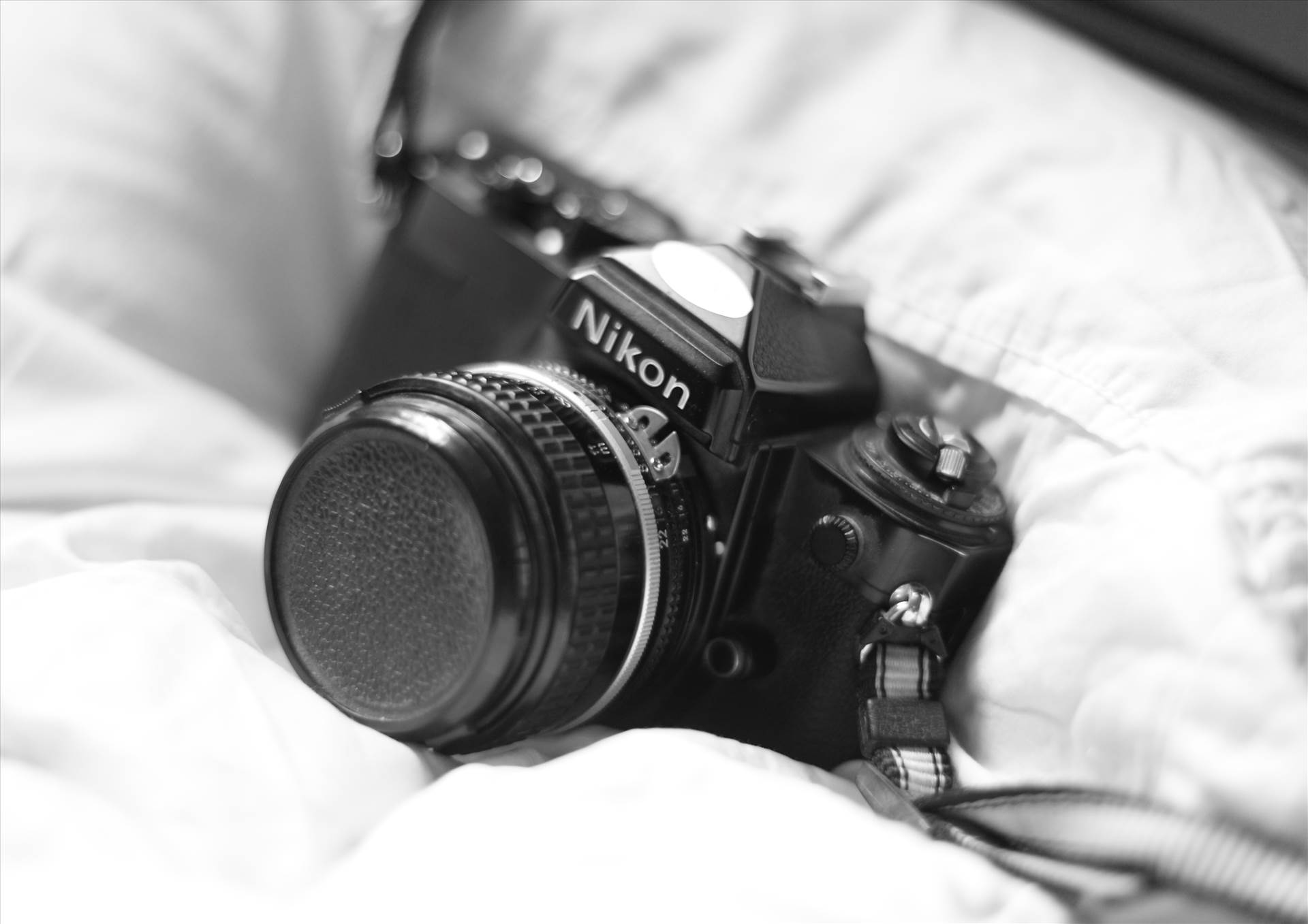 Film on Digital - An old Nikon SLR, captured by a modern digital camera. by Scott Smith Photos