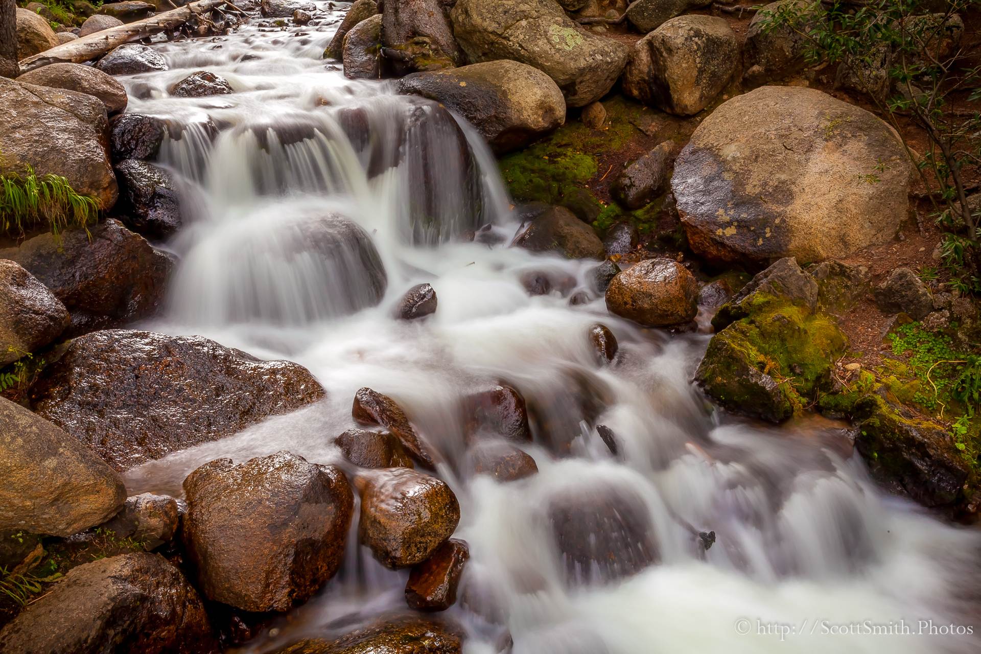 Mt Evans Waterfall - A small stream trickles down the side of the mountain. by Scott Smith Photos
