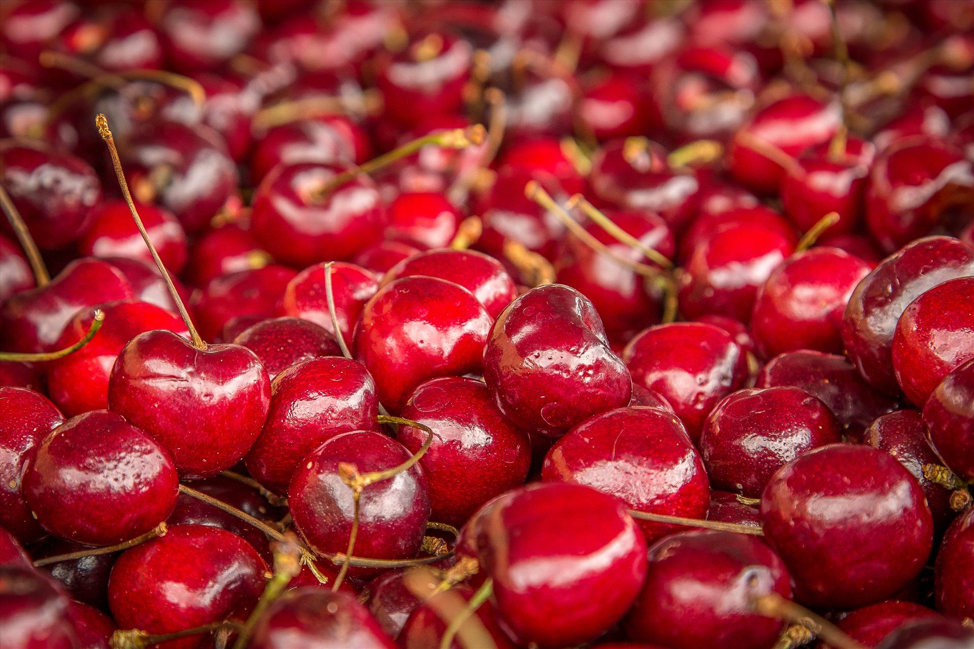 Millions of Cherries - Cherries for me. by Scott Smith Photos