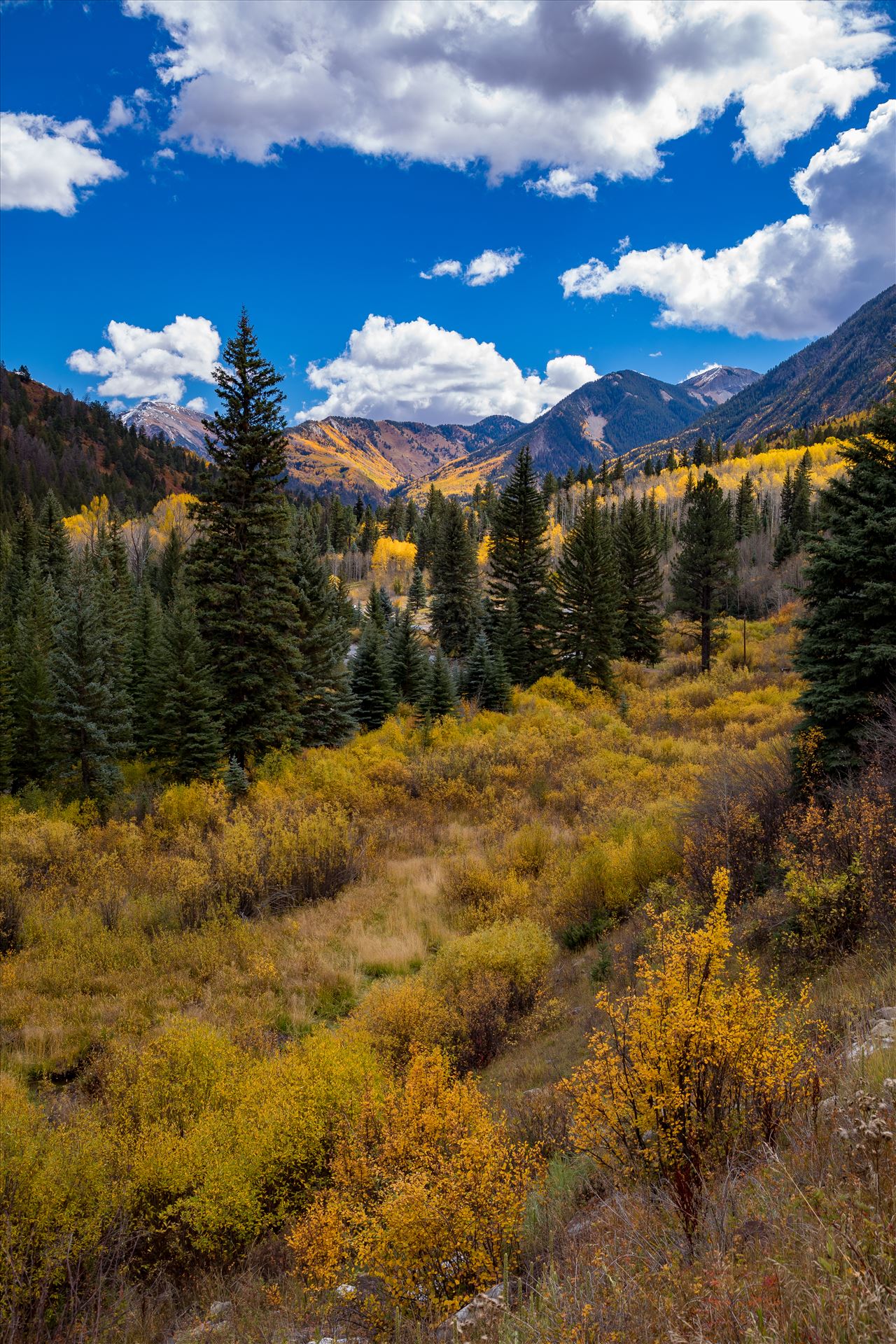 Road Number 3 - Outside of Marble, Colorado, the view from Road Number 3 in fall. by Scott Smith Photos