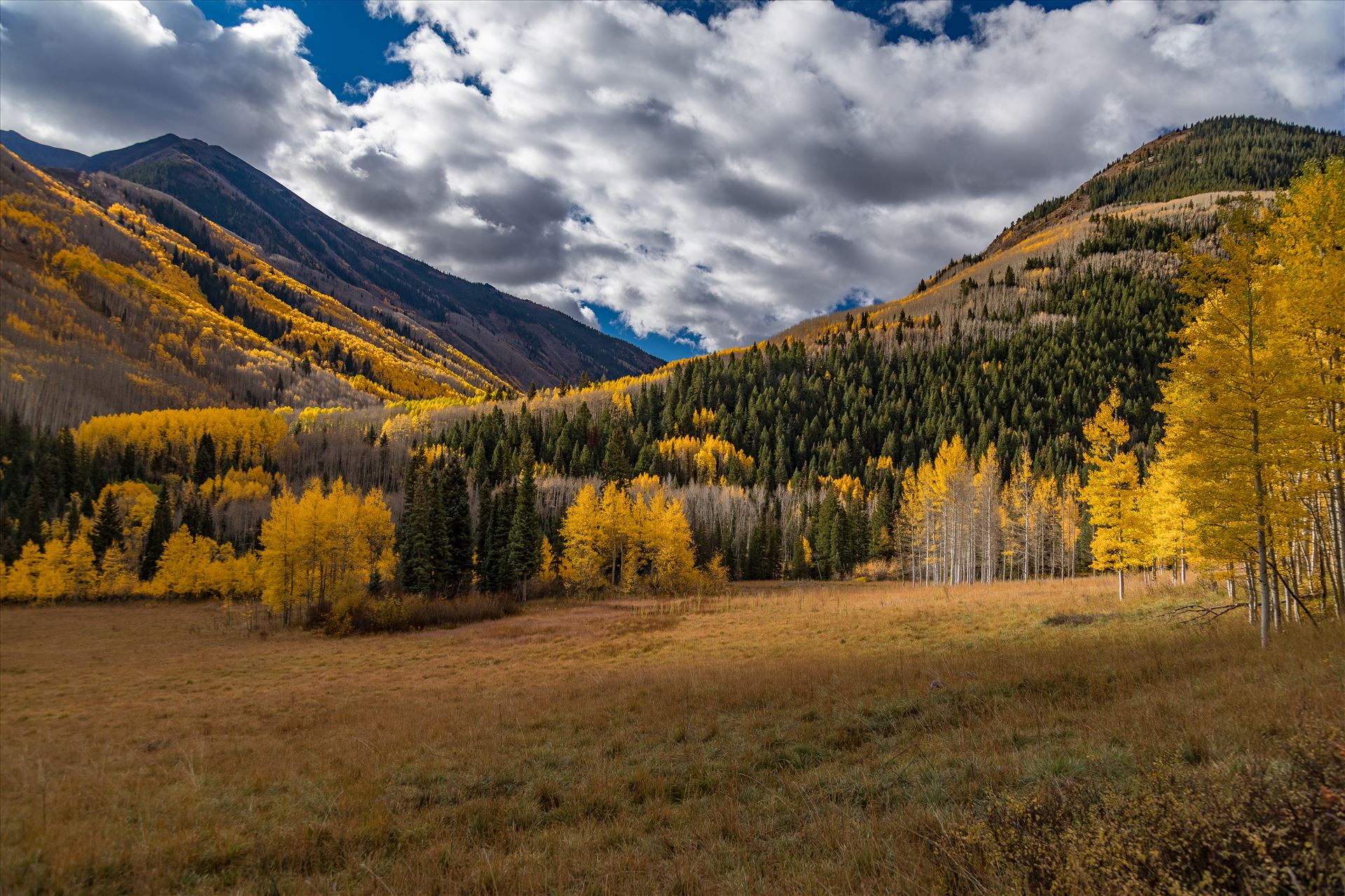 Fall in Aspen Snowmass Wilderness Area No 1 -  by Scott Smith Photos
