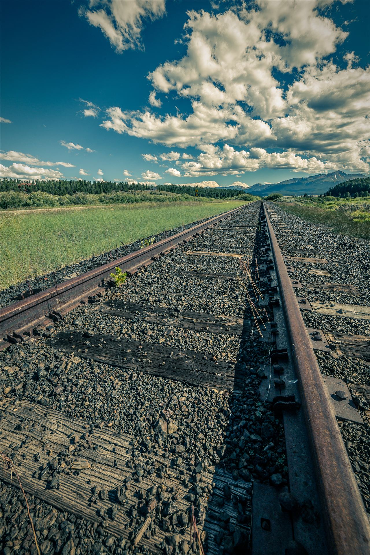 On the Tracks - Railroad tracks outside of Leadville, Colorado. by Scott Smith Photos