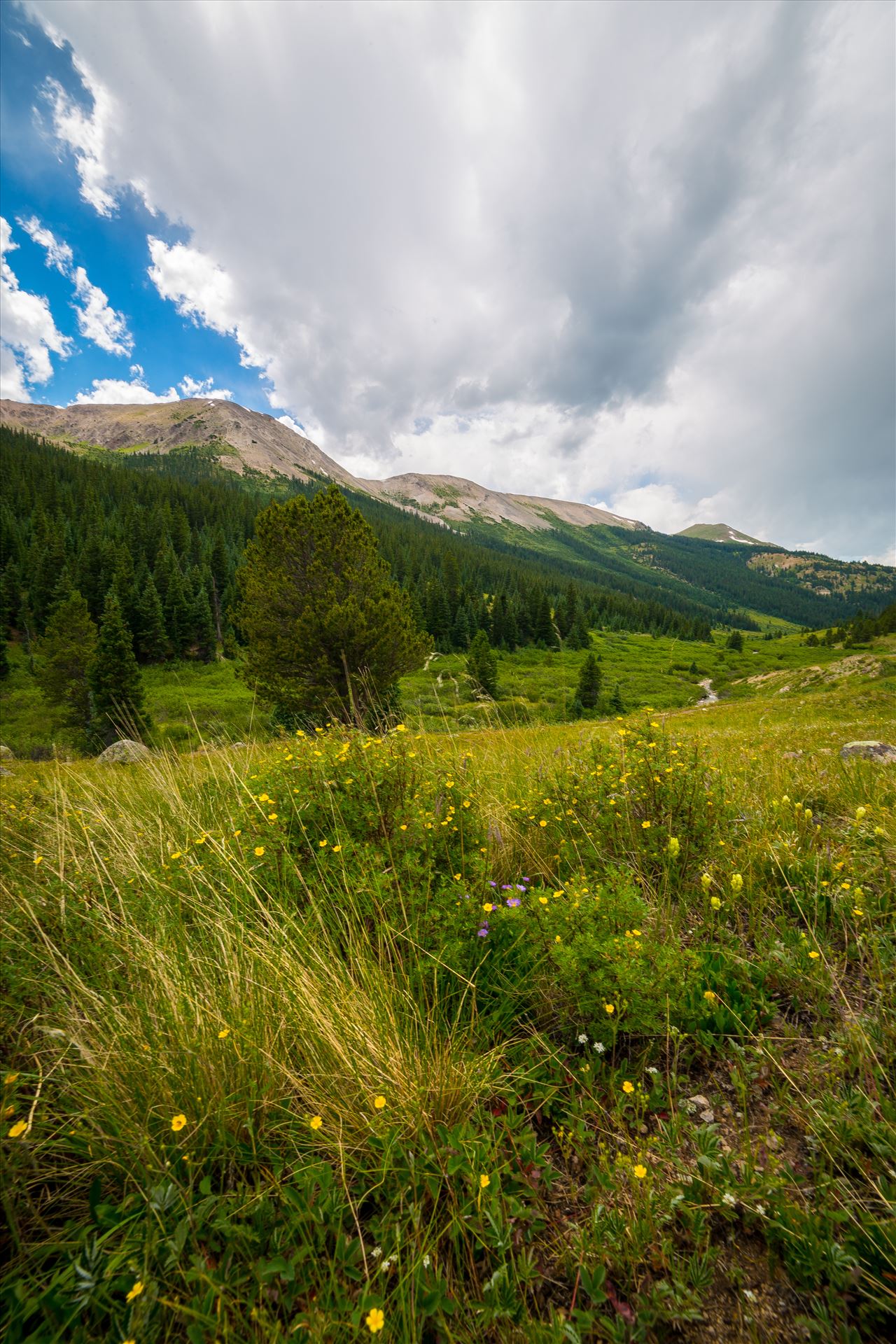 Independence Pass 03 -  by Scott Smith Photos