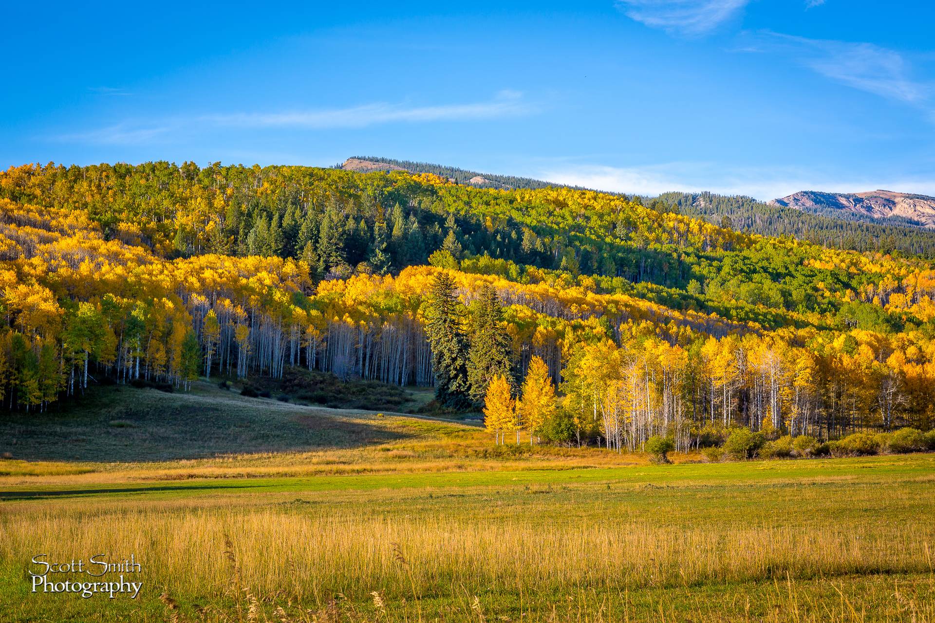 Snowmass Ranch - From Owl Creek road, outside Snowmass. by Scott Smith Photos
