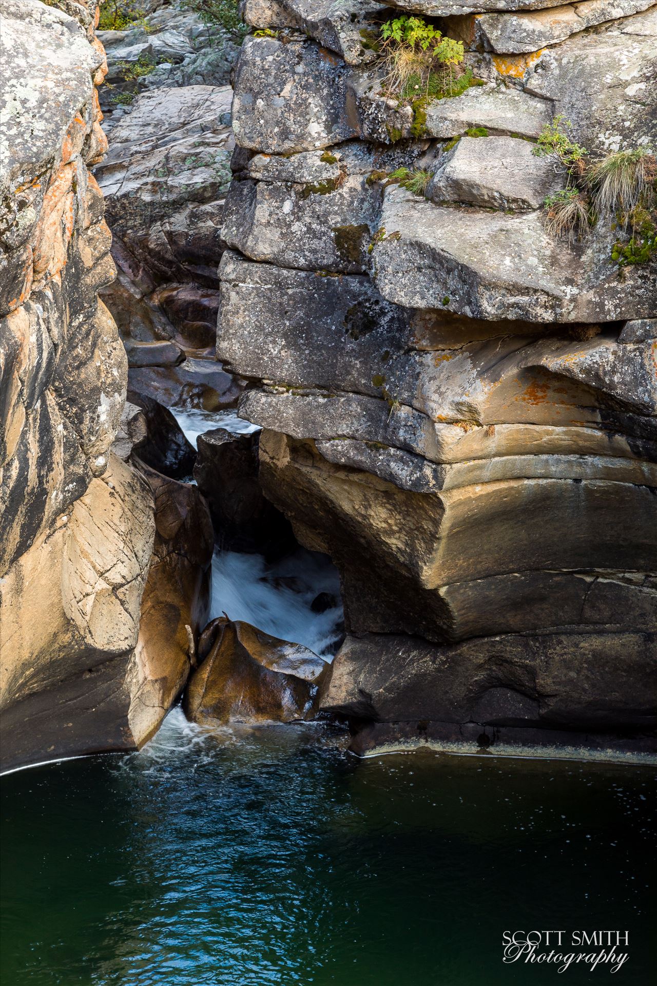 Aspen Grottos III -  by Scott Smith Photos