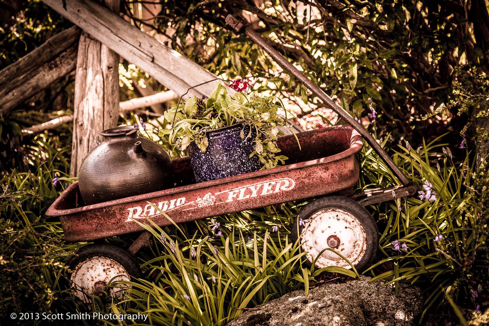 Old Timer - A vintage, decorated Radio Flyer in Langley, Washington. by Scott Smith Photos