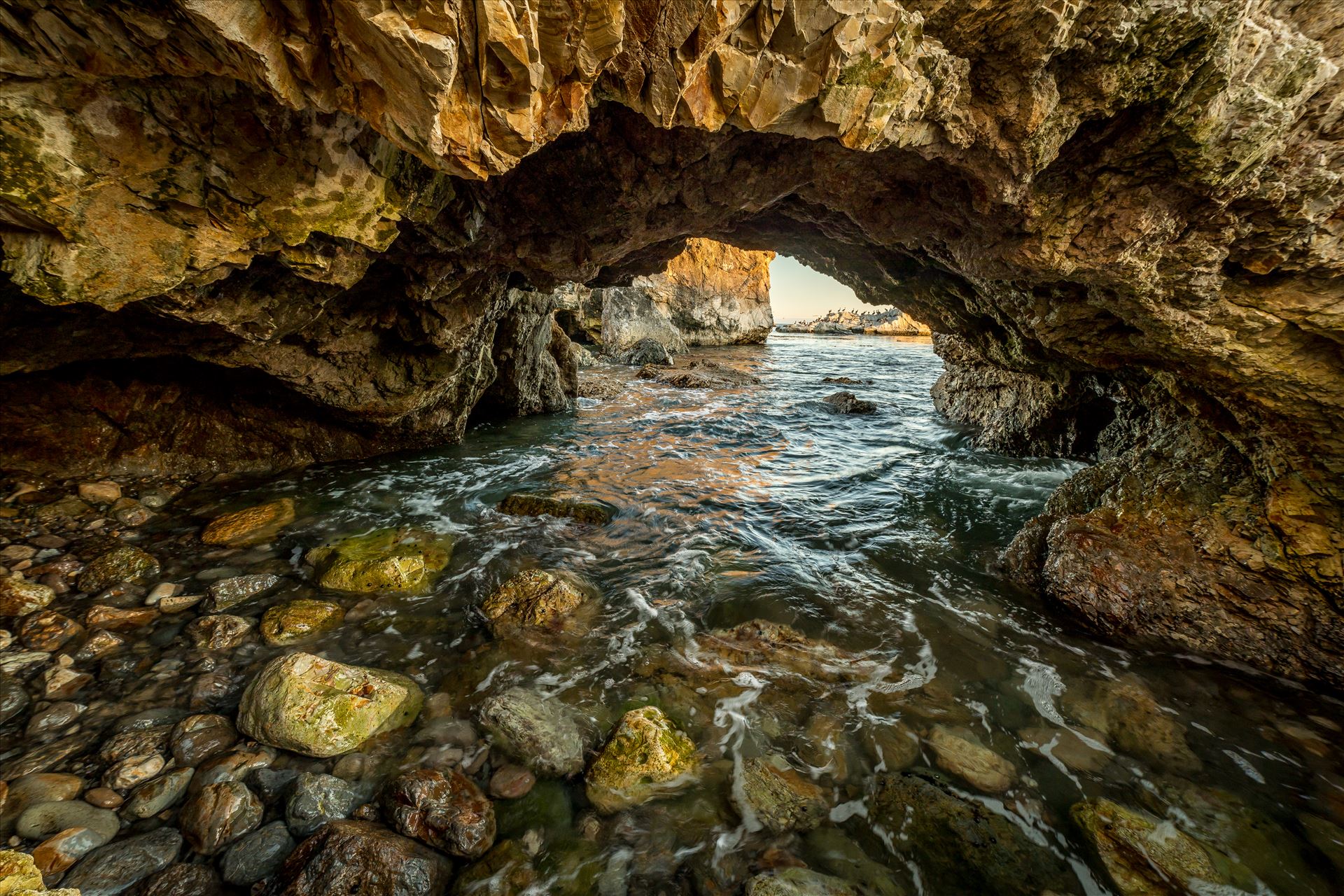 Sea Caves at Shell Beach - A sea cave on Shell Beach, California. by Scott Smith Photos