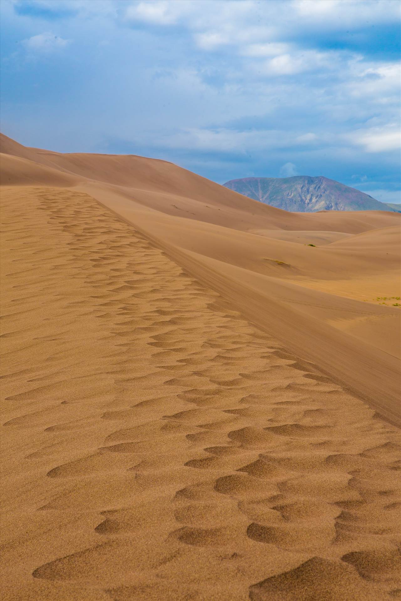 Great Sand Dunes 5 -  by Scott Smith Photos