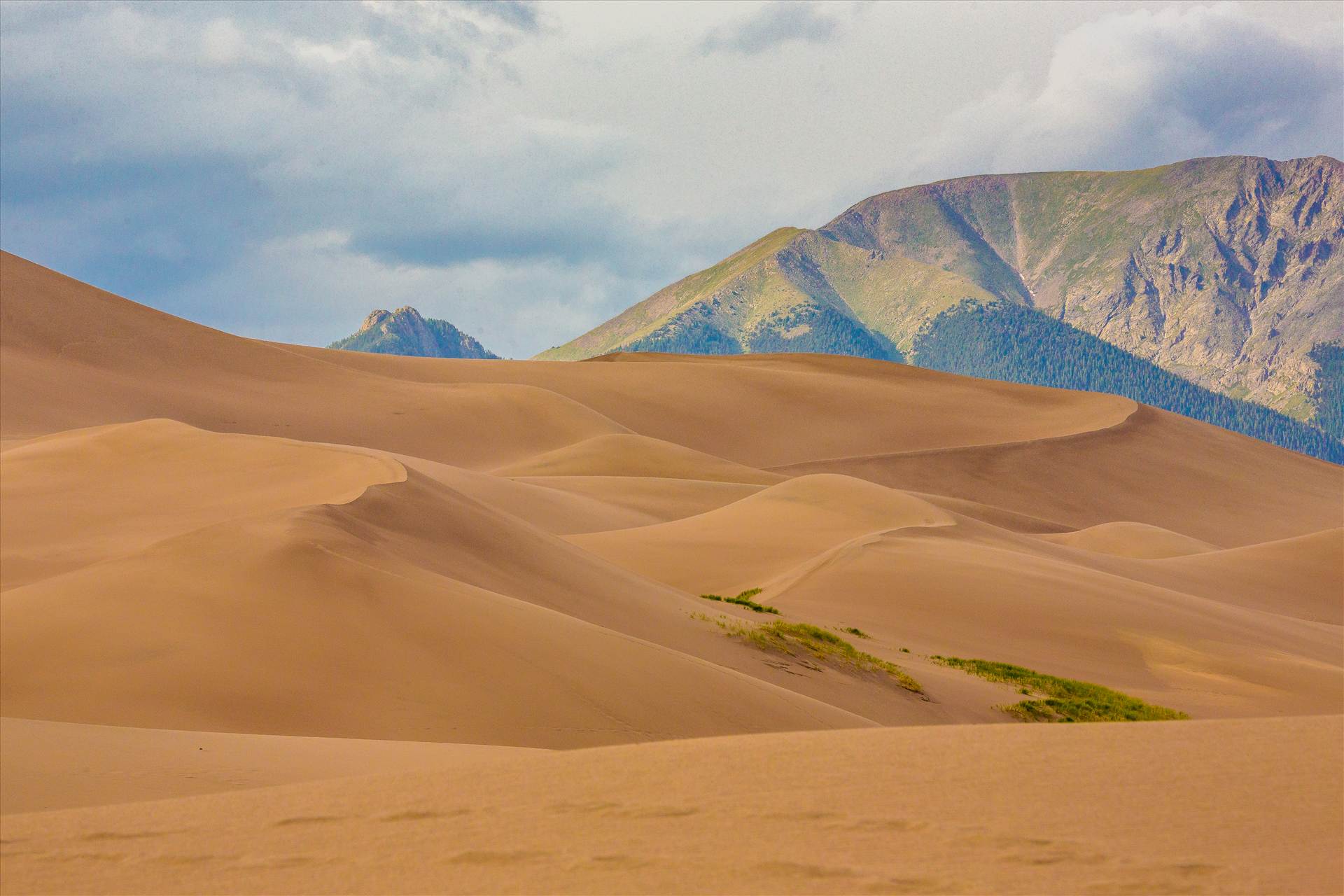 Great Sand Dunes 1 -  by Scott Smith Photos