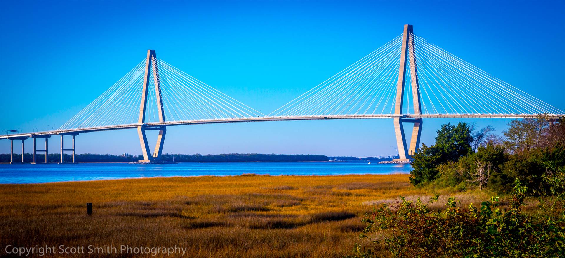 Arthur J Ravenel Bridge in Charleston -  by Scott Smith Photos