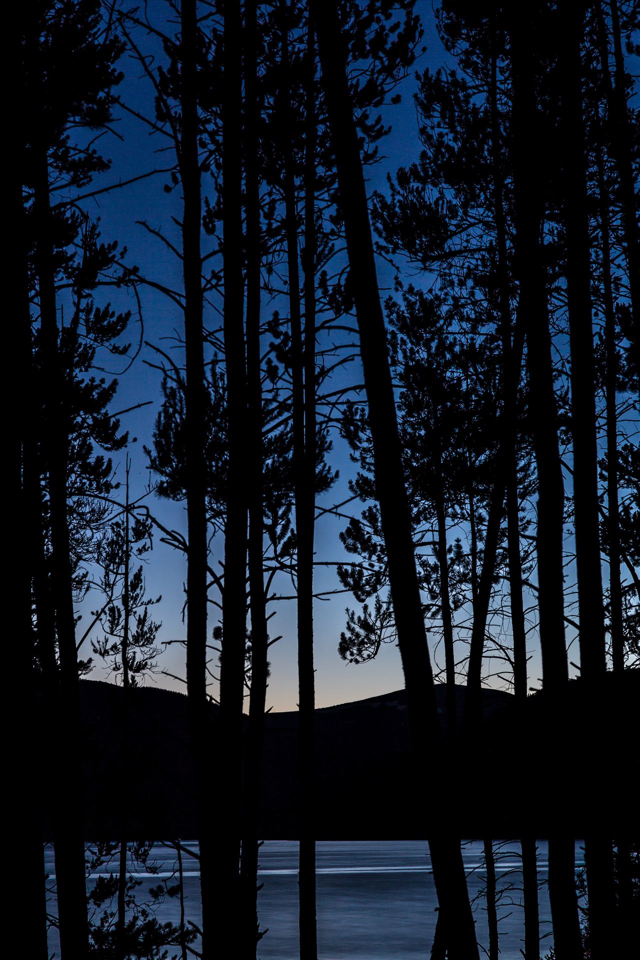 Through the Woods - Turqouise through the trees, Lake lit by the last of the sunlight, as seen from our campsite. by Scott Smith Photos