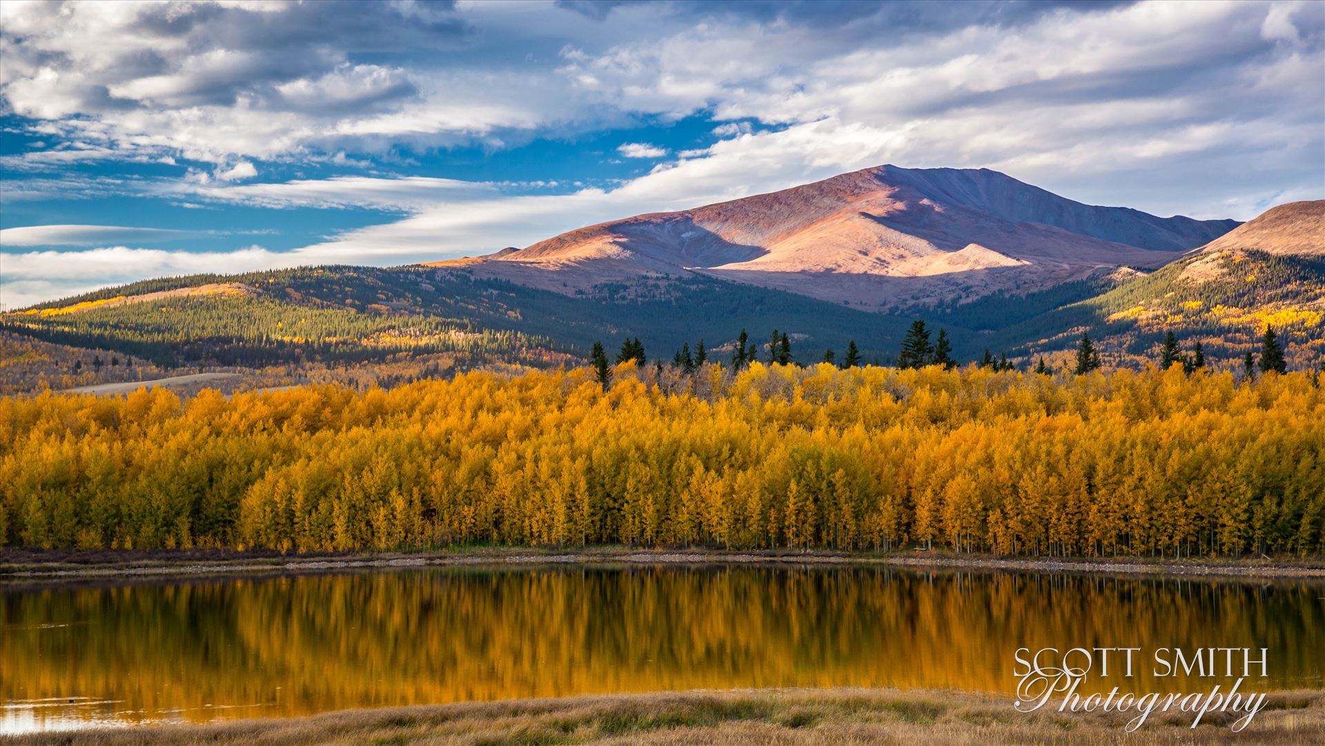 Reflecting Colorado Gold - A small lake between South Park and Fairplay, Colorado reflects the fall aspens as the sun sets on a beautiful weekend. by Scott Smith Photos