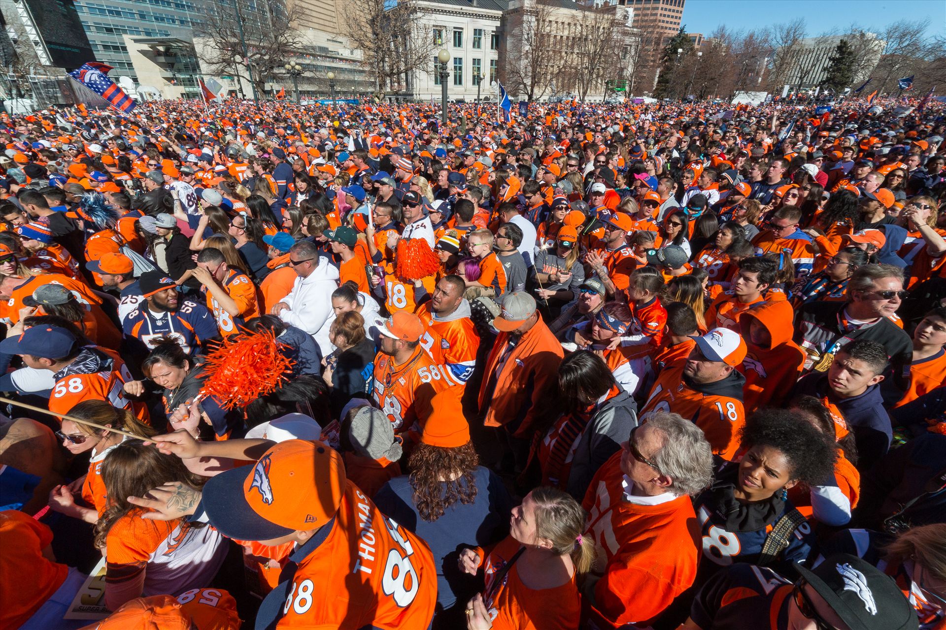 Broncos Fans 1 - The best fans in the world descend on Civic Center Park in Denver Colorado for the Broncos Superbowl victory celebration. by Scott Smith Photos