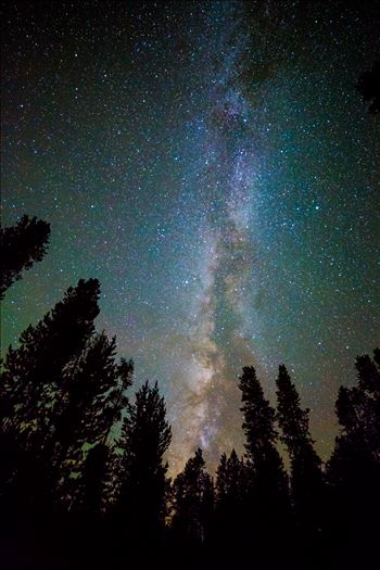 Another beautiful view of the milky way from our campsite at Turquoise Lake, Leadville Colorado.