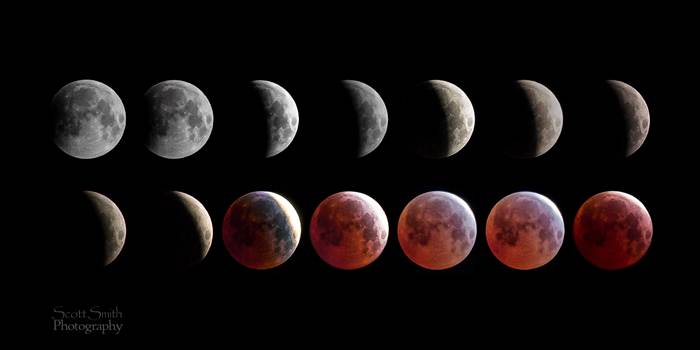 A collage of 14 images from the spring 2015 lunar eclipse, showing the different phases of the moon.
