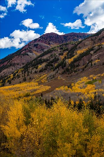 Preview of Fall in Aspen Snowmass Wilderness Area No 3