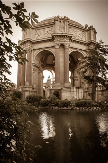 Preview of Palace of Fine Arts Sepia