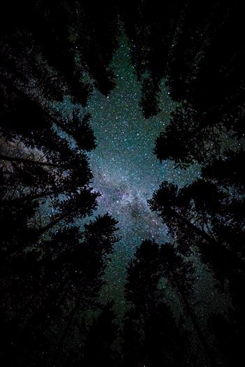 A beautiful view of the milky way from our campsite at Turquoise Lake, Leadville Colorado.