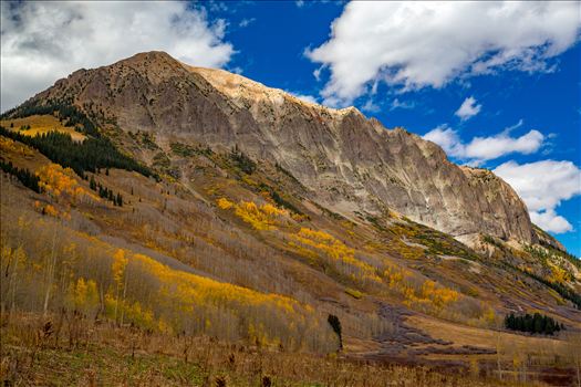 Fall colors on Gothic mountain, near Crested Butte Colorado.