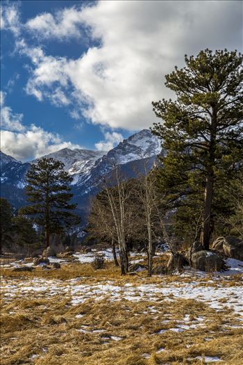 Winter's begun, taken just off Bear Lake Road in the Rocky Mountain National Park.