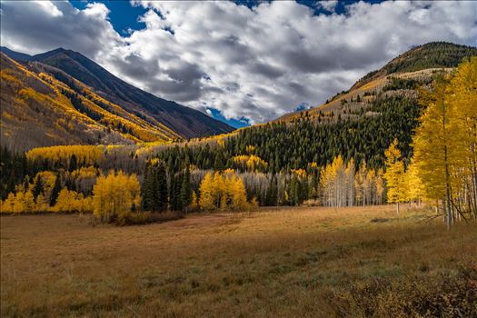 Preview of Fall in Aspen Snowmass Wilderness Area No 1
