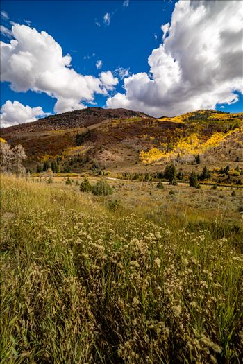 Summer grasses give way to fall colors between Redstone and Marble, Colorado.