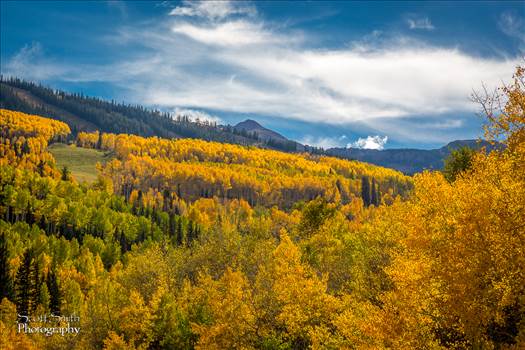 The fall colors seen from Snowmass, Colorado.
