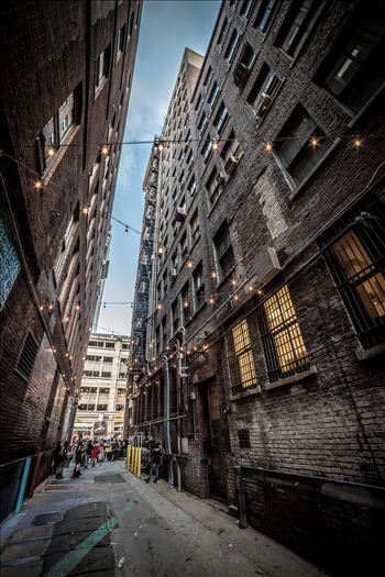 A back alley in Denver Colorado, during the 2015 Zombie Crawl.